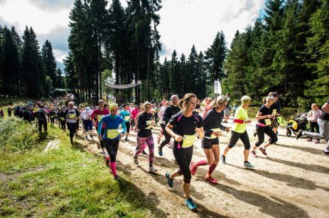 Běhej lesy Jizerská očima vítěze. 12 km pro rychlíky i začátečníky