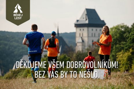 Mezinárodní den dobrovolníků: Poděkování z lesa